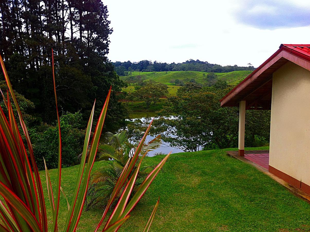 Termales Del Bosque & Hot Springs Hotel La Marina Exterior photo