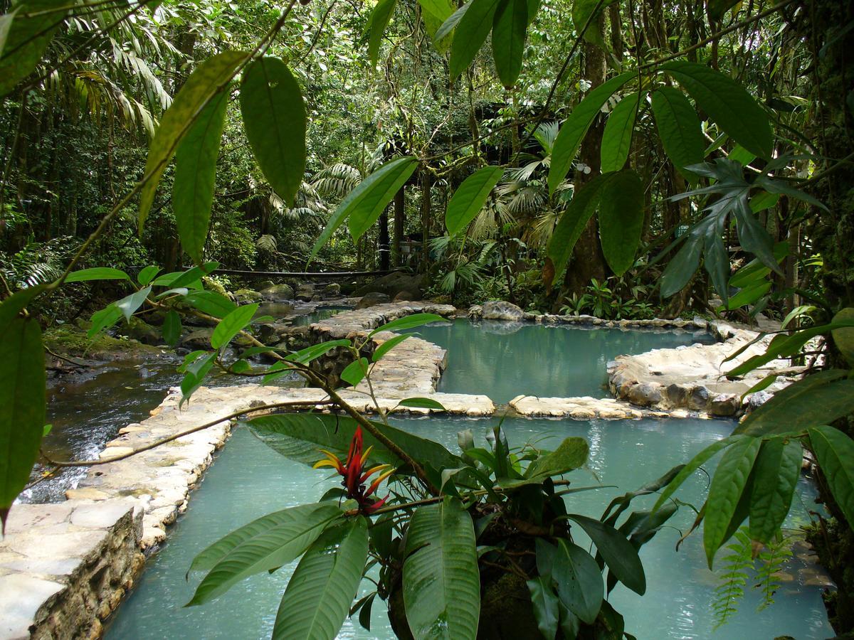 Termales Del Bosque & Hot Springs Hotel La Marina Exterior photo